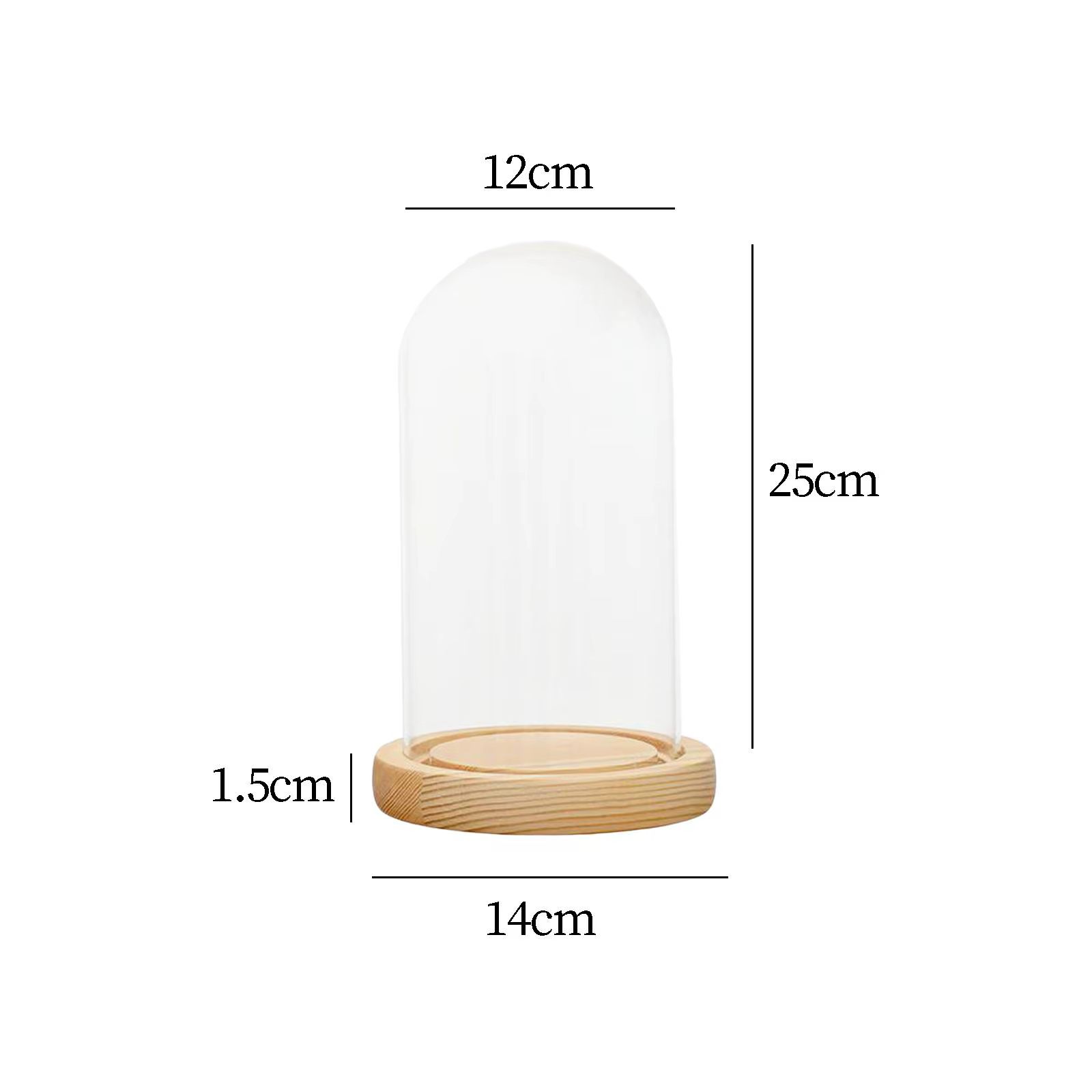 Cloche en verre, pot de cloche