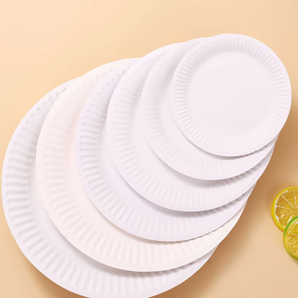 Ensemble d'assiettes en papier jetables blanches