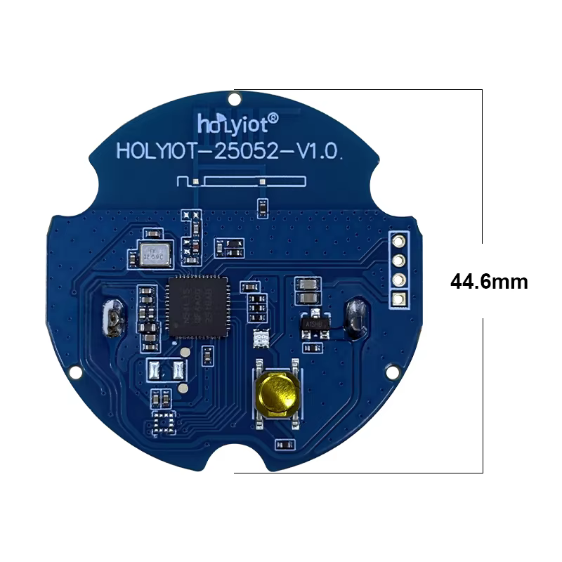 Balise Holyiot BLE 6.2 série nRF54L, faible consommation d'énergie, Bluetooth iBeacon, dispositif de positionnement intérieur IoT, iBeacon Eddystone