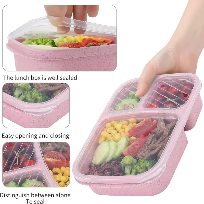 Boîte à déjeuner Bento pour enfant avec couvercles et fourchettes