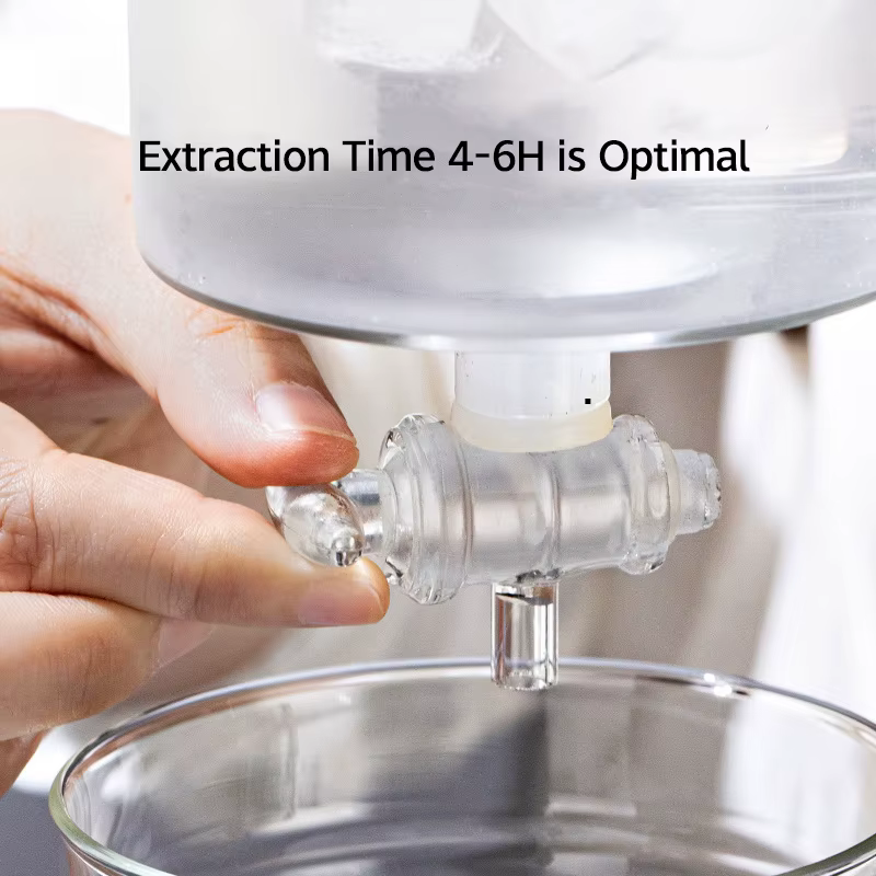 Cafetière à infusion froide de 600ml avec filtre goutte