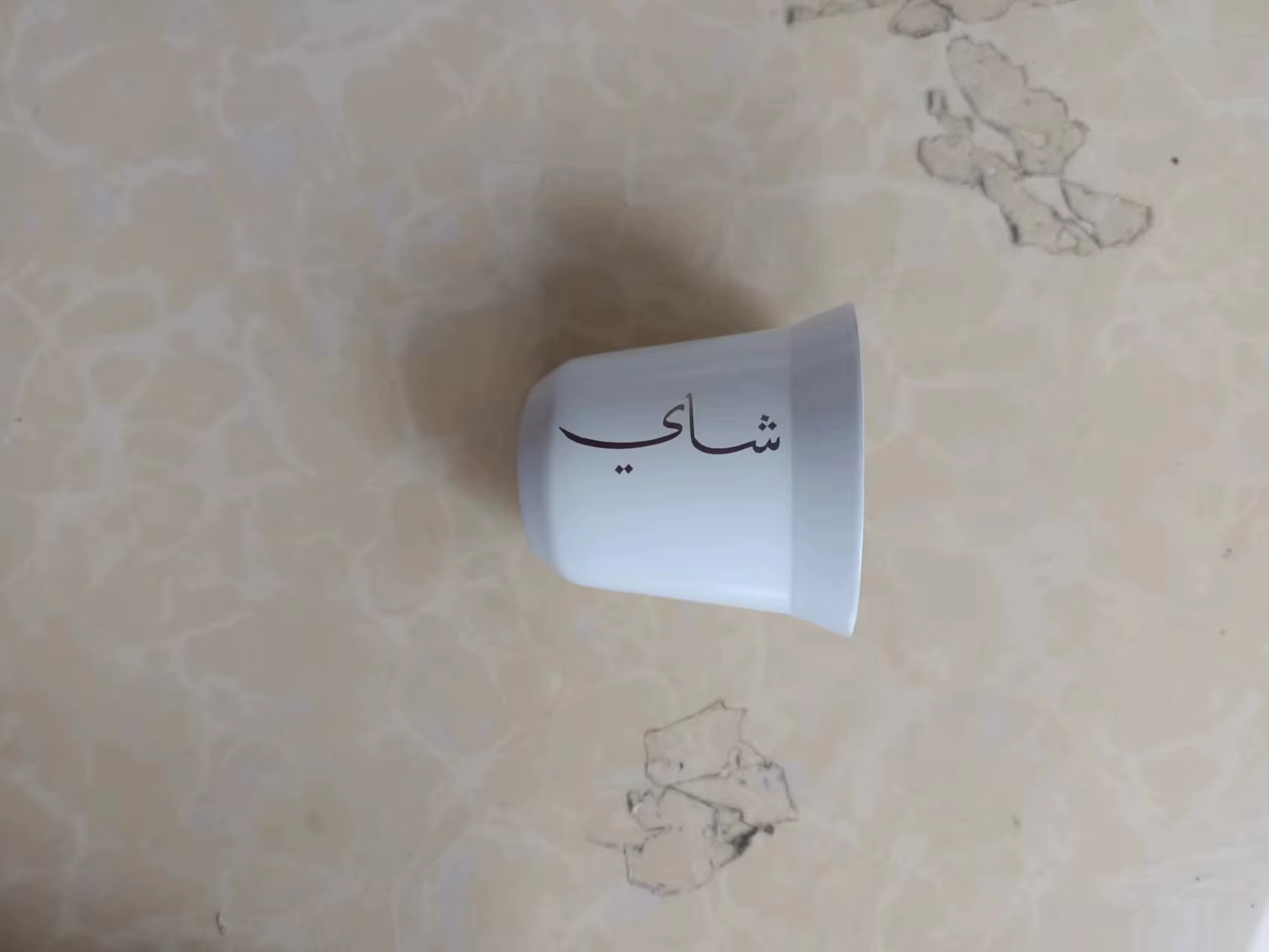 Thermos de 500ml + tasse de 80ml