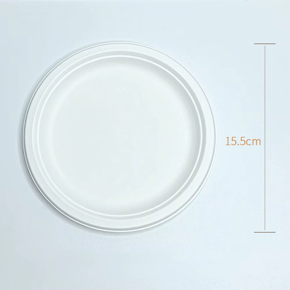 Assiettes de poulet en papier nickel able écologique