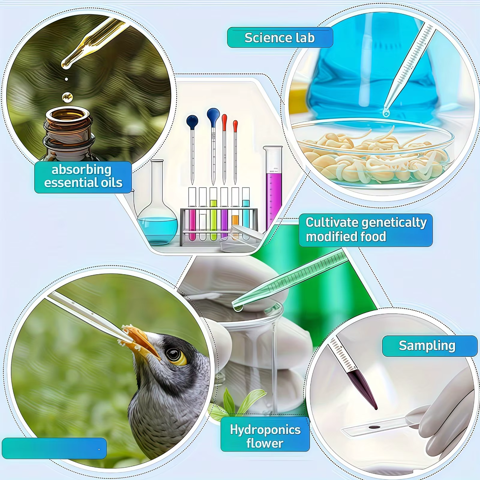 Pipette en verre, compte-gouttes