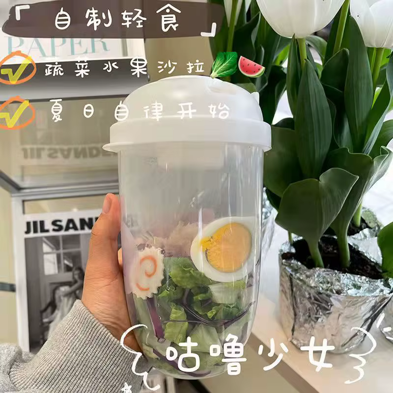 Tasse à salade Portable 1L