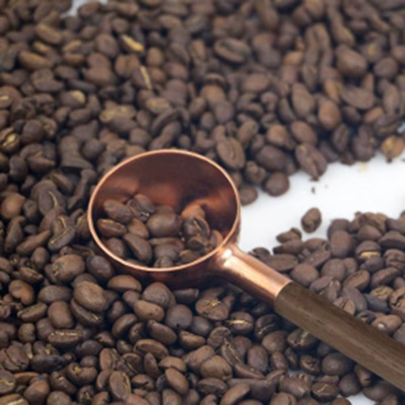 Cuillère-mesure pour grains de café, bois massif, cuivre, 10g