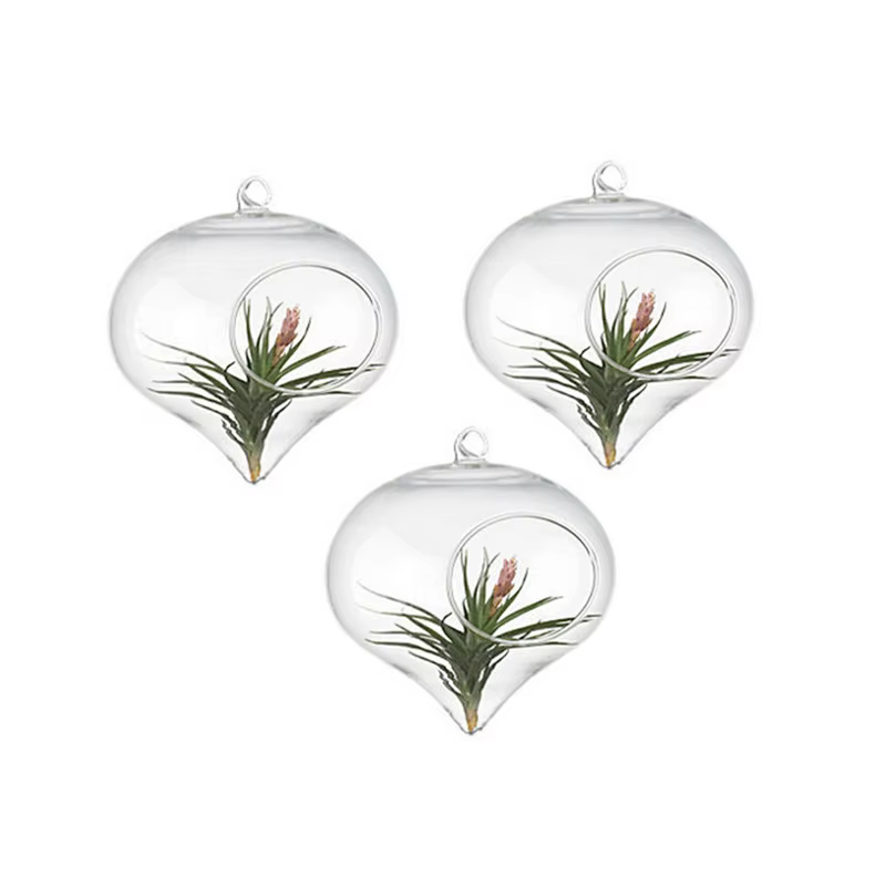 Vase à Boules de Verre de 11x9cm pour Décoration de Mariage, Terrarium, Conteneur, Pots