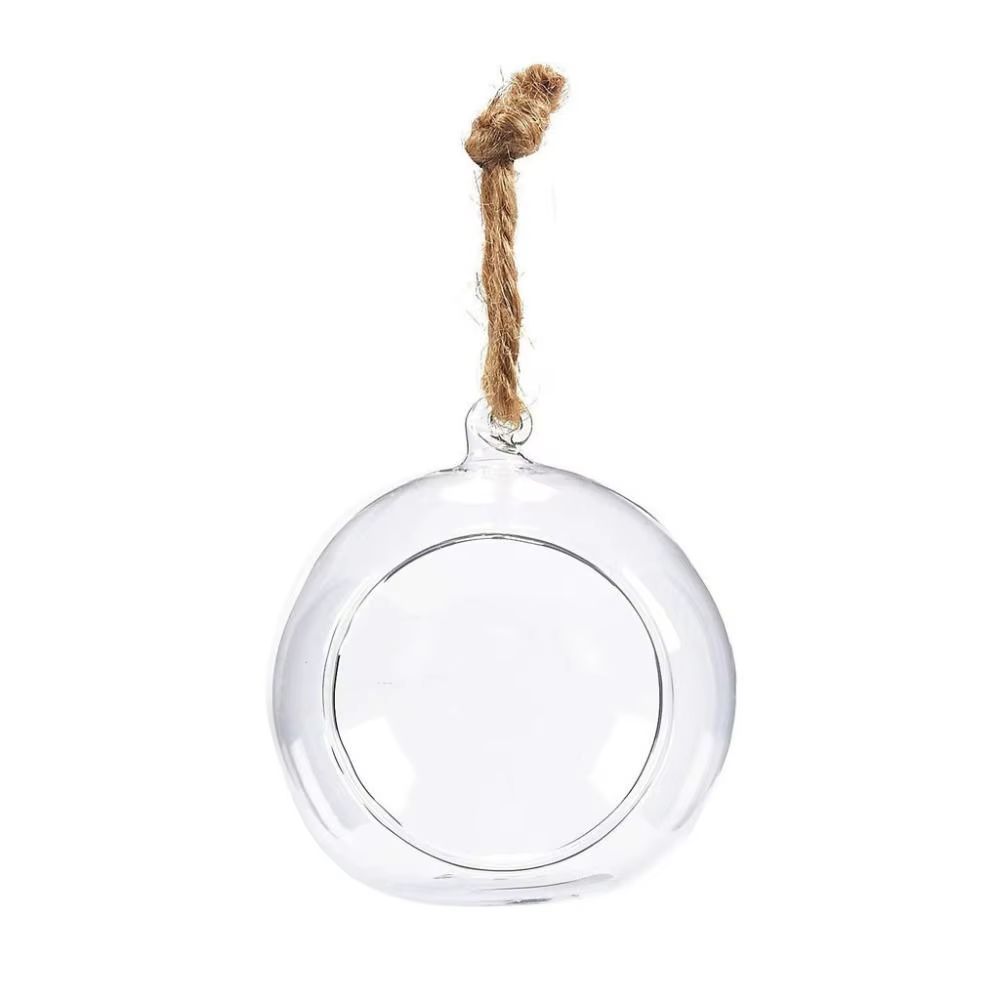 Vases en verre suspendus transparents