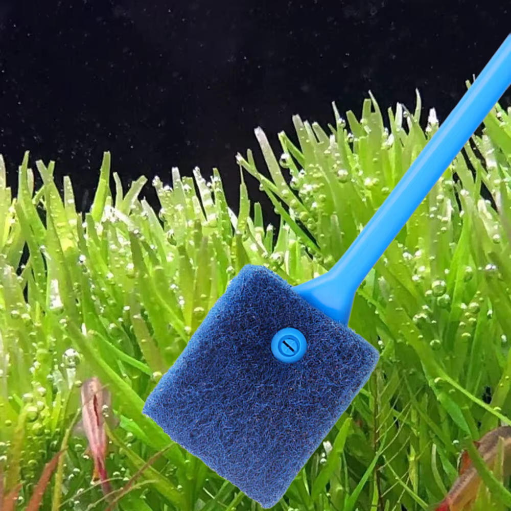 Brosses de nettoyage d'aquarium pour verre acrylique, nettoyage des algues, grattoir à algues Double face, éponge, outils de nettoyage d'aquarium