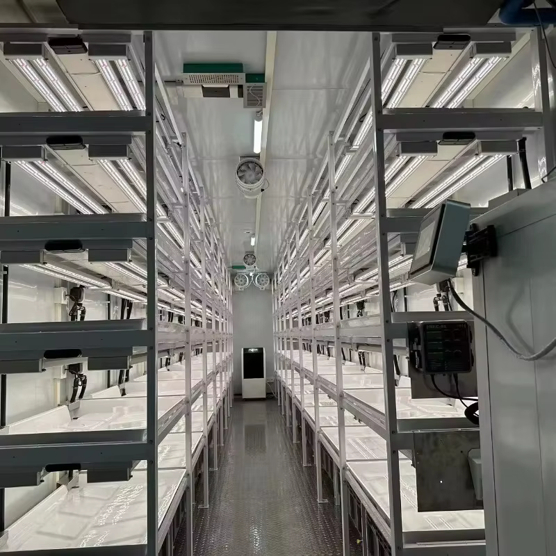 Conteneur d'expédition polyvalent personnalisé pour ferme, environnement contrôlé intelligent pour la culture de champignons, légumes-feuilles, herbes et fraises