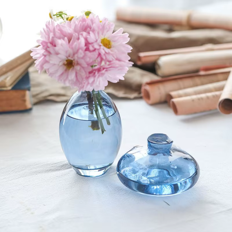 Vase en verre transparent pour plantes