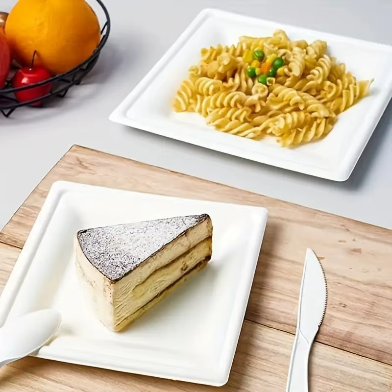 Assiettes carrées en papier de poulet blanc