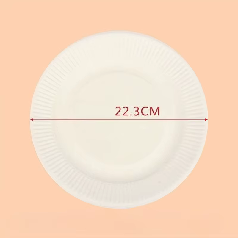 Assiettes en papier jetables