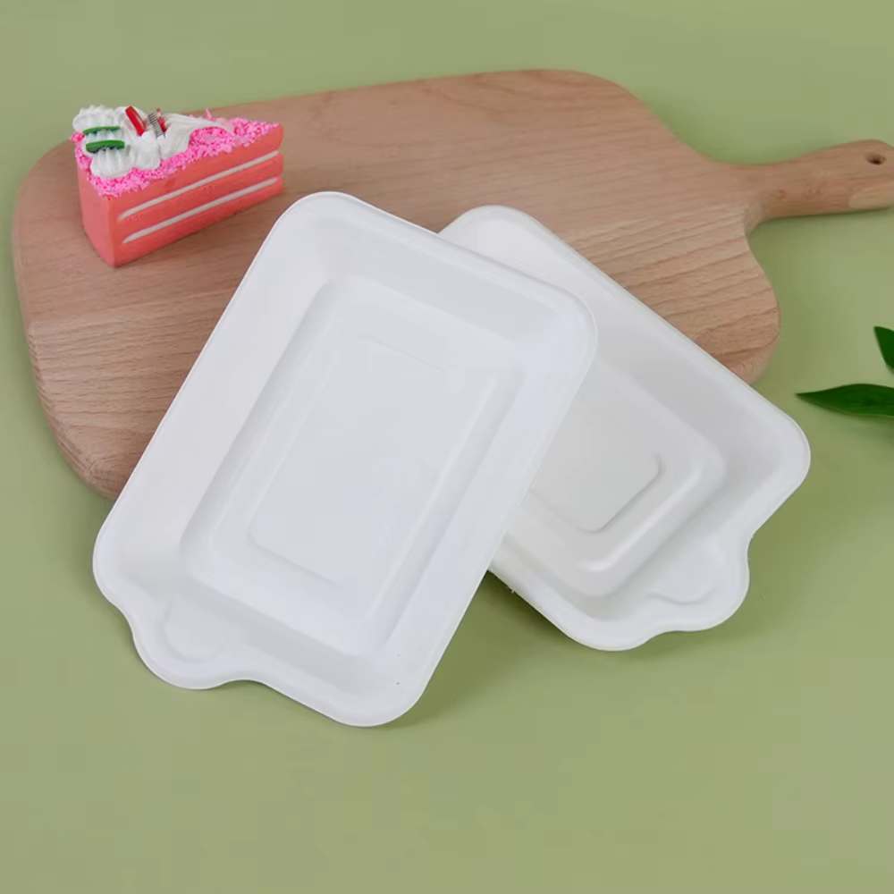 Assiette en papier jetable en matériau biodégradable