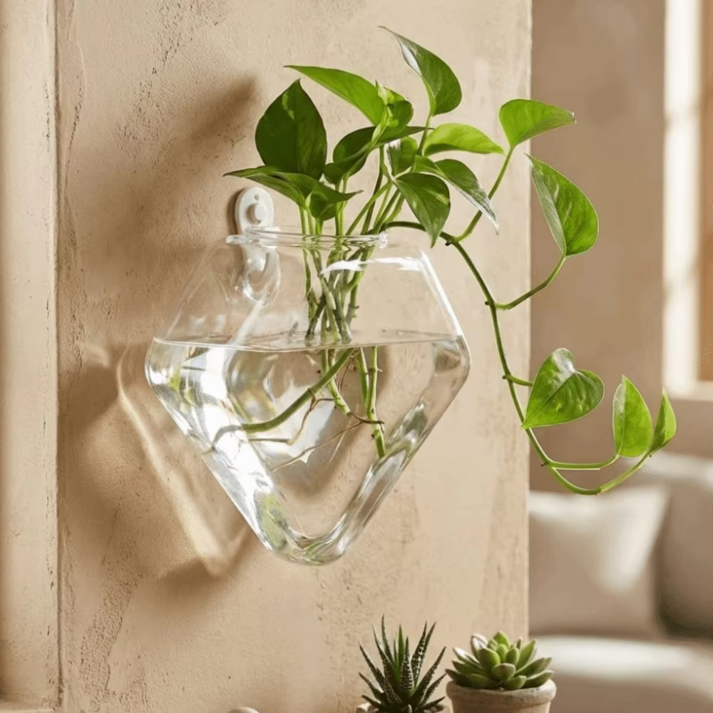 Vase hydroponique de forme irrégulière
