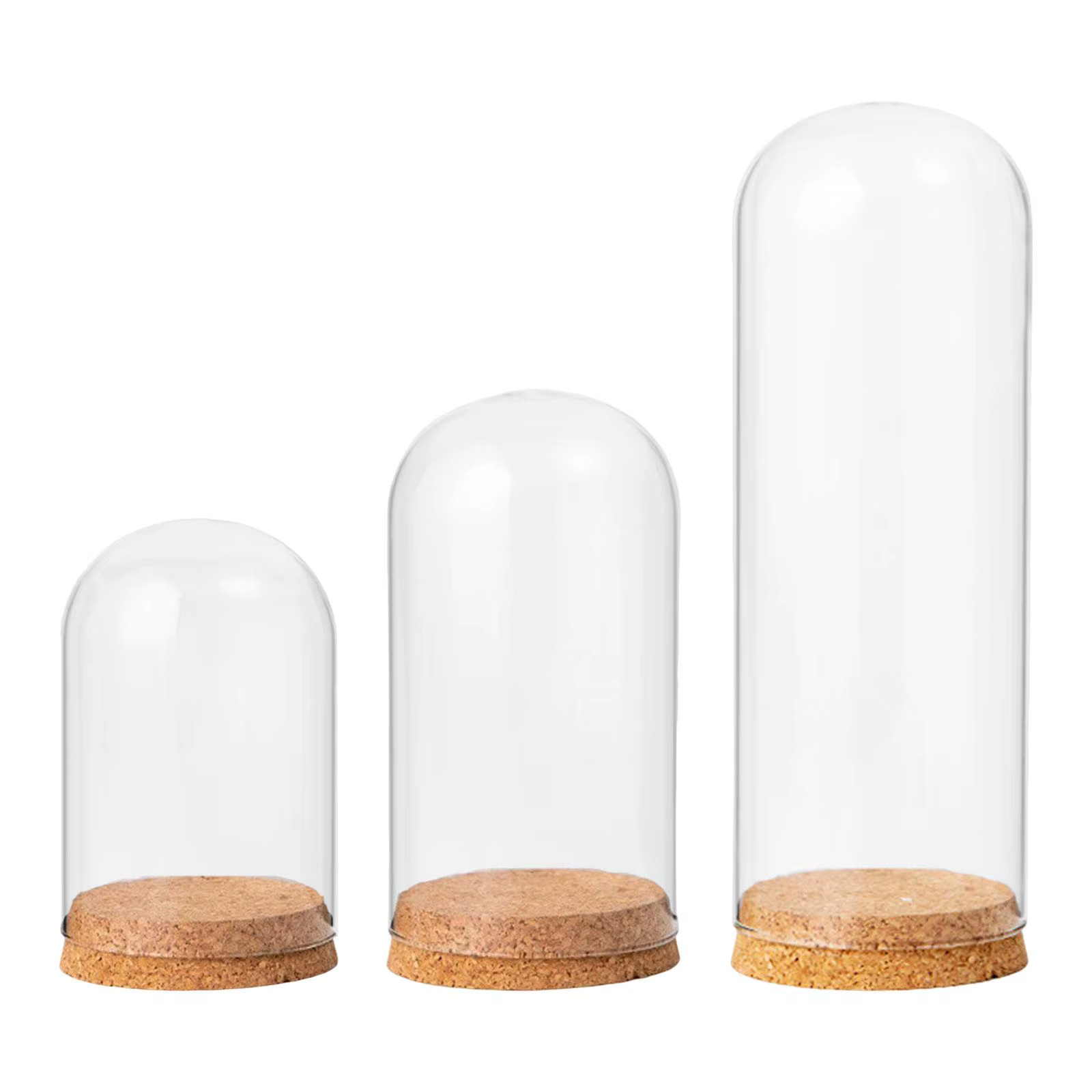 Dôme d'affichage cloche en verre avec Base en bois