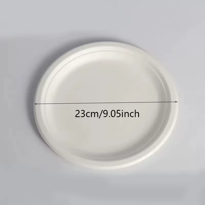 Assiettes jetables blanches