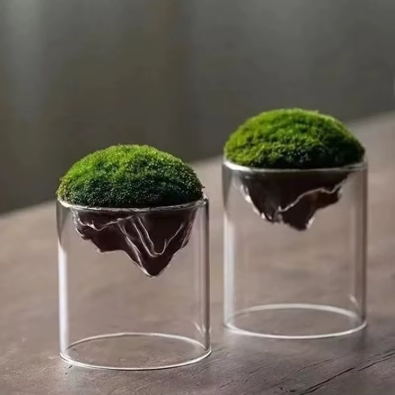 Bouteille de Mousse en Verre Épais