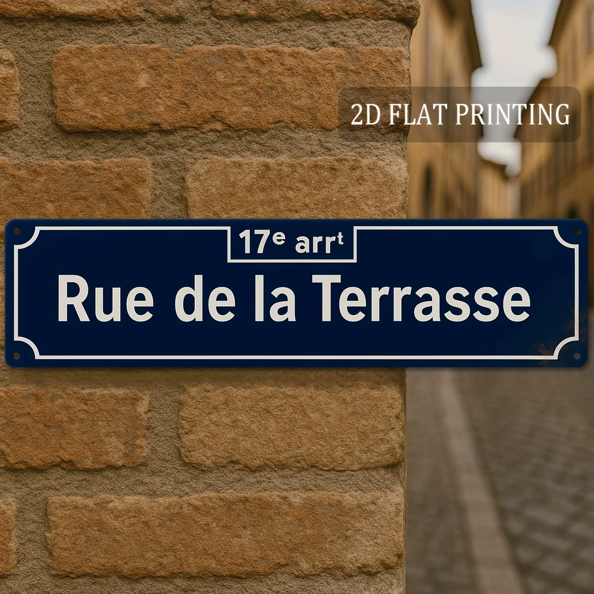 Plaque Métallique 2D Plate « Rue De La Terrasse » Style Français