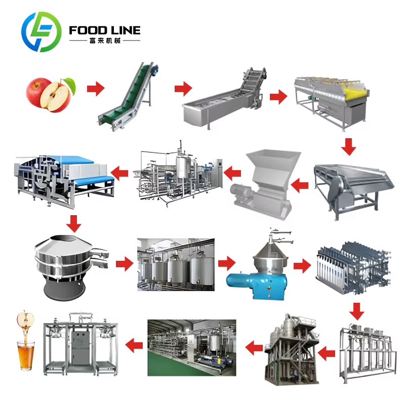 Ligne de production de jus de pomme personnalisée, usine de traitement automatique des fruits, remplissage et emballage, solution clé en main pour usine de boissons