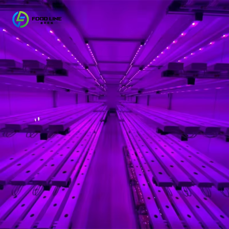 Conteneur de serre hydroponique intelligent personnalisé pour l'agriculture verticale, usine de culture en conteneur