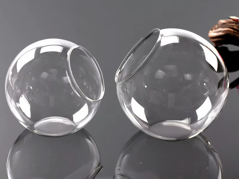 Récipient de terrarium pour micro invité