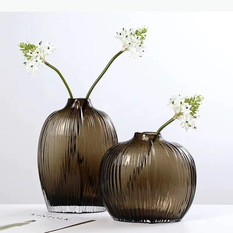 Vase en verre hydroponique transparent