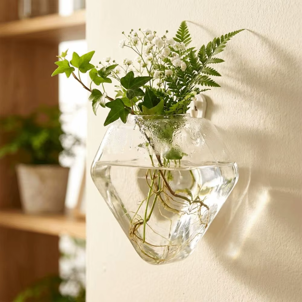 Vase hydroponique de forme irrégulière