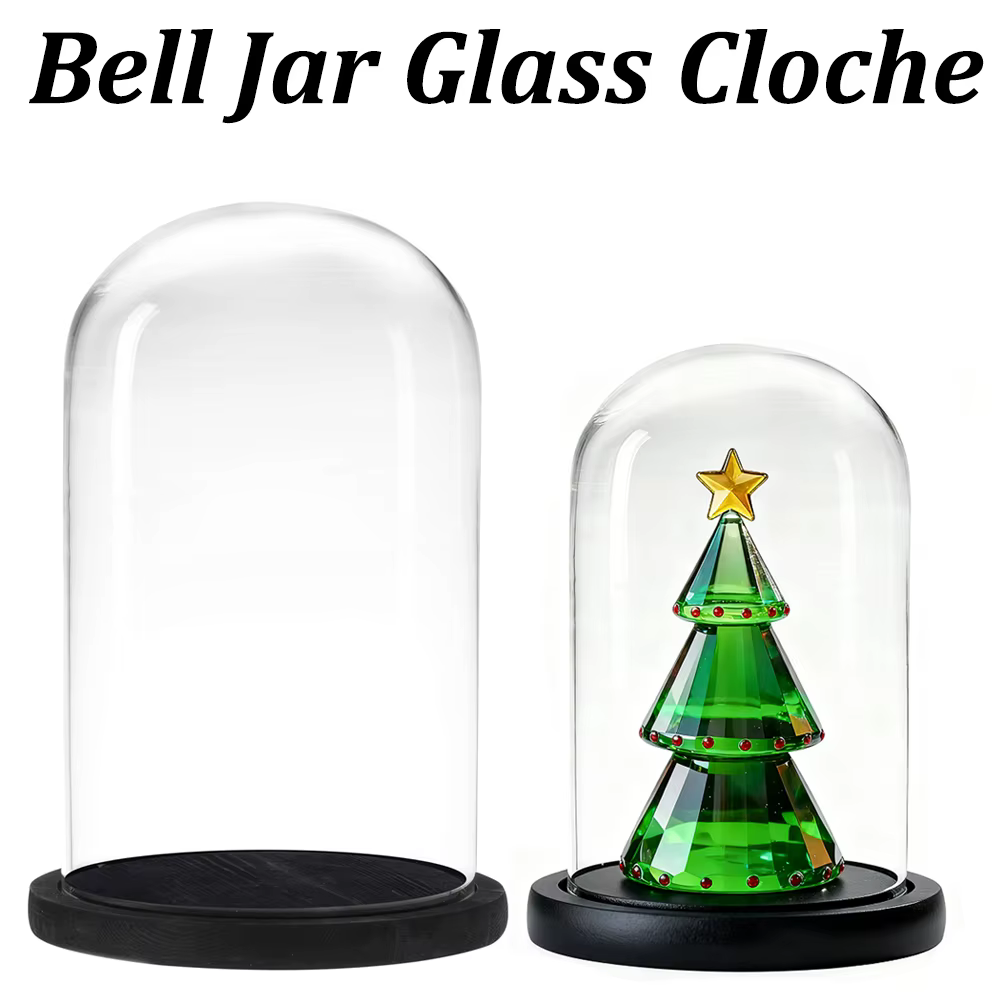 Cloche en verre avec Base en bois noir