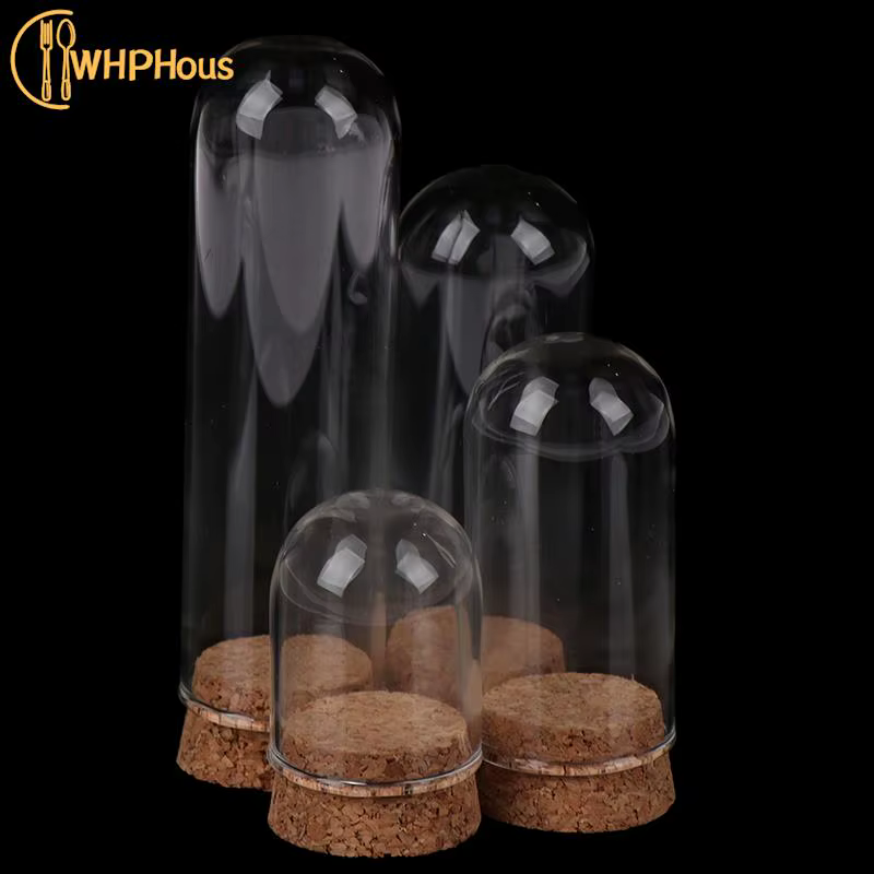 Cloche en verre avec base en bois