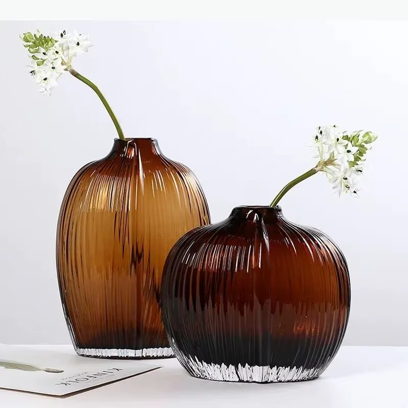 Vase en verre hydroponique transparent