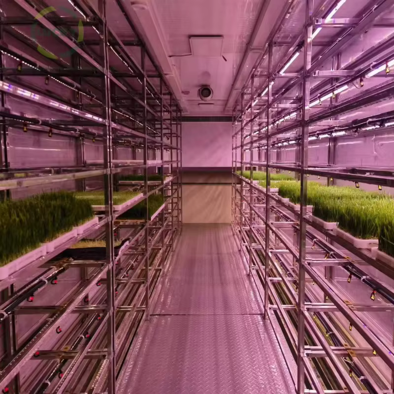Conteneur agricole personnalisé pour l'expédition de fourrage, de pâturage et de herbe, durable et étanche