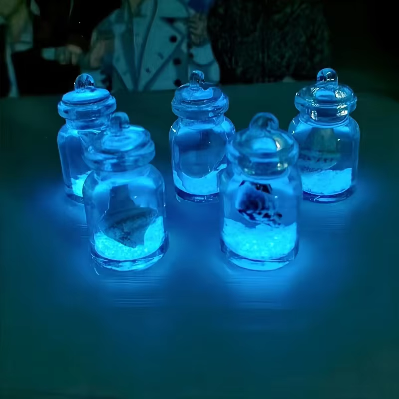 Conques lumineuses en bouteilles en verre transparent