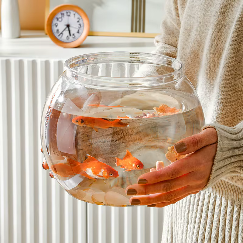 Bol à poisson rond Portable, petits Aquariums pour petits poissons et Reptiles ornementals, verre haute transparence, bonne vue, matériau PET
