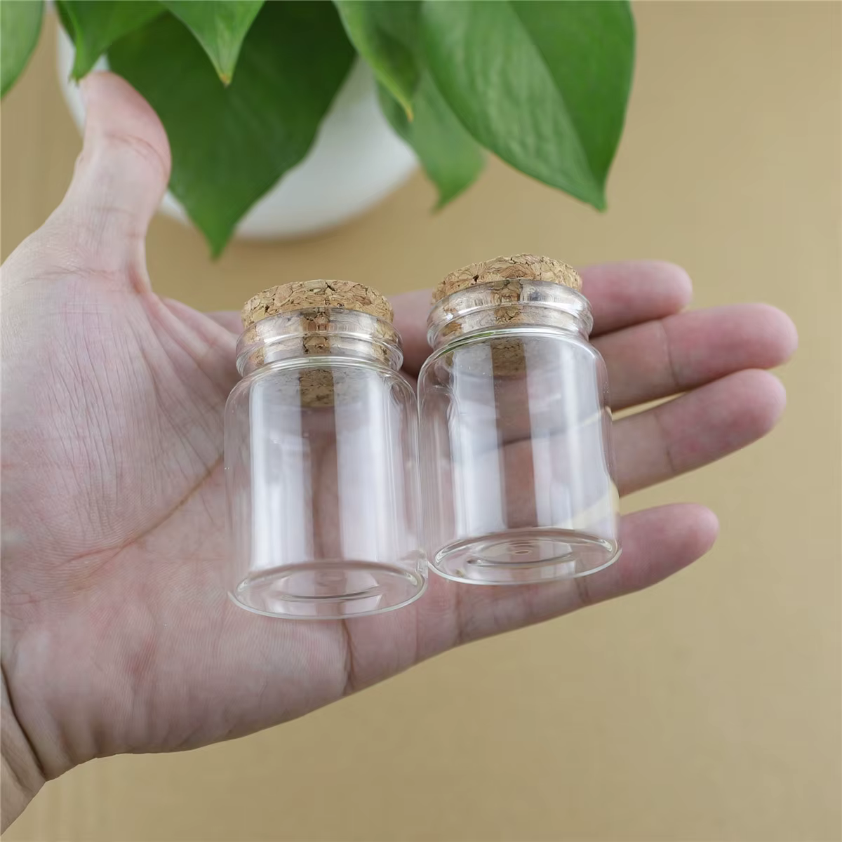 Bocaux en verre transparent