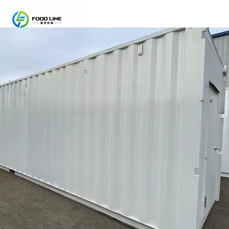 Conteneur de serre hydroponique intelligent personnalisé pour l'agriculture verticale, usine de culture en conteneur