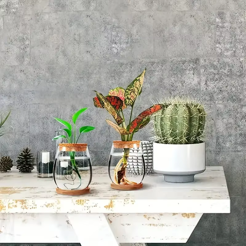 Pot en verre hydroponique - Vase de propagation moderne pour plantes d'intérieur et décoration intérieure
