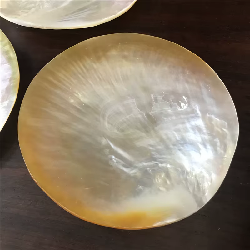 Assiette d'apéritif en coquillage naturel avec bord sculpté créatif