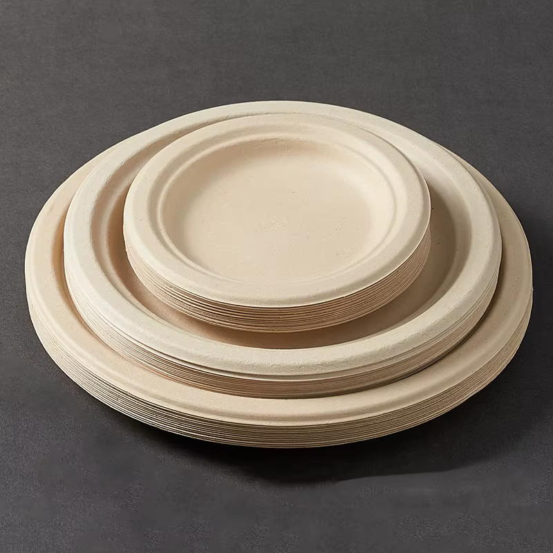 Assiettes en papier au poulet