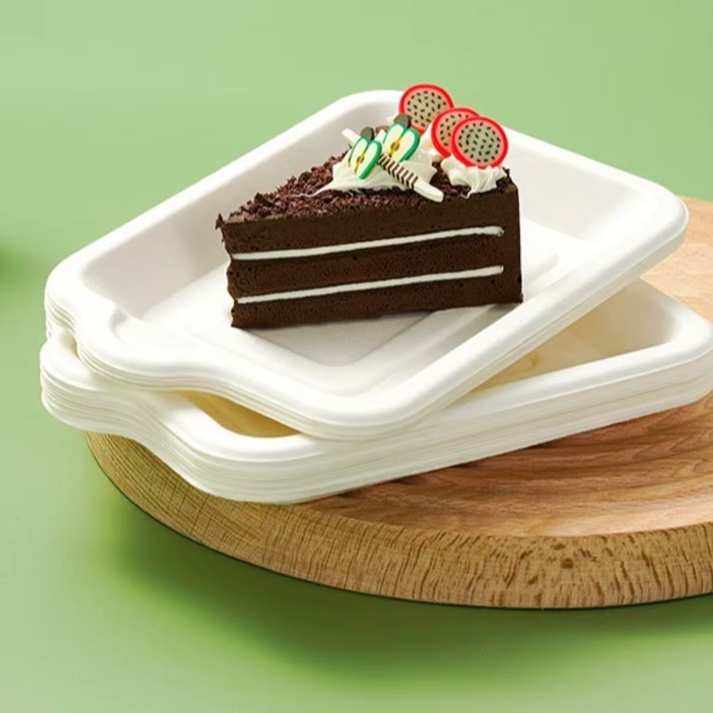 Assiette en papier jetable en matériau biodégradable