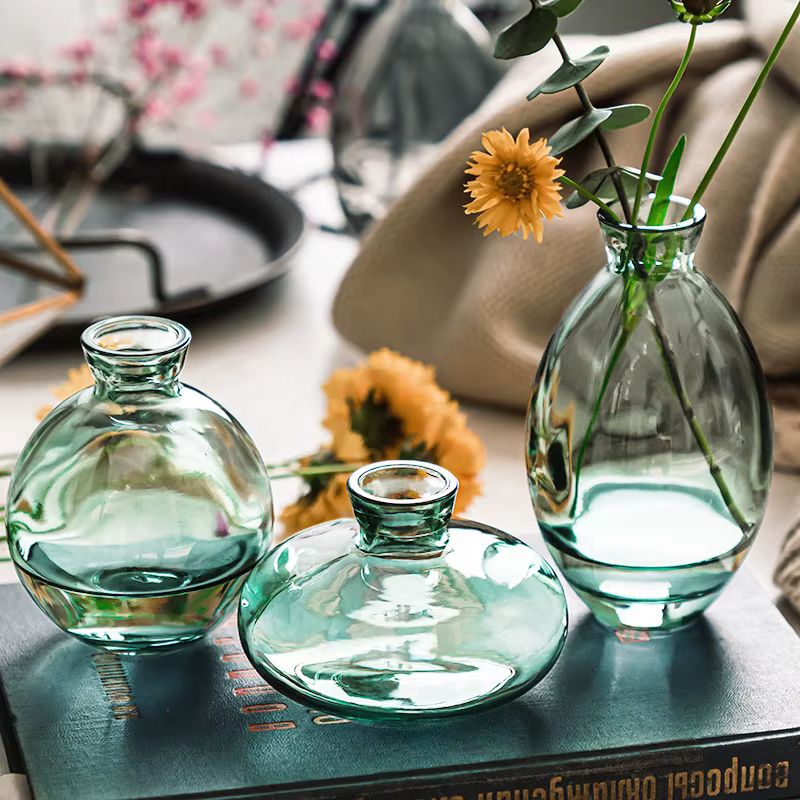 Vase en verre transparent pour plantes