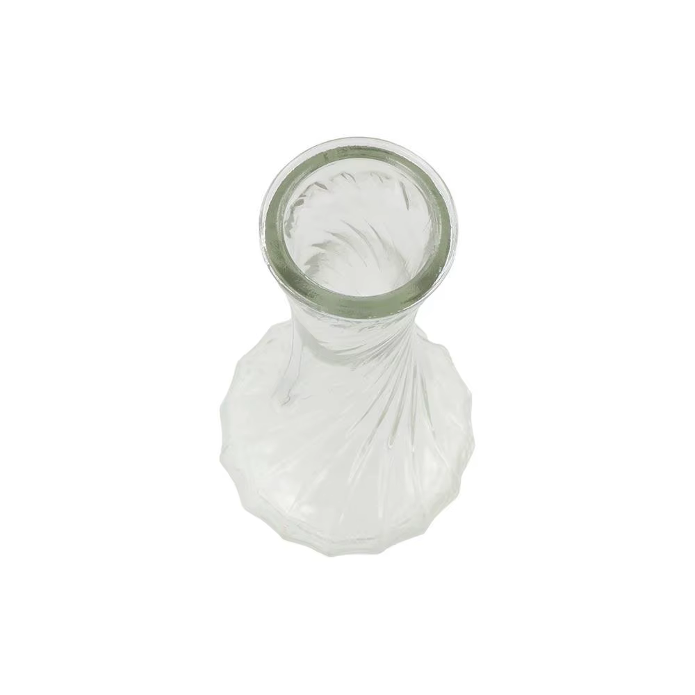 Vase en verre vintage en relief pour plantes hydroponiques transparentes