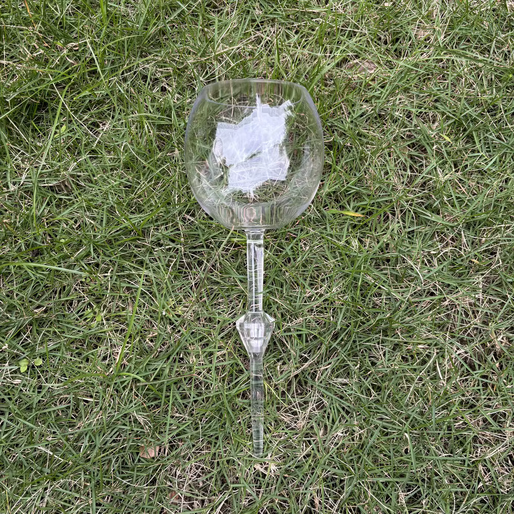 Flûtes à Champagne en Plastique et Acrylique