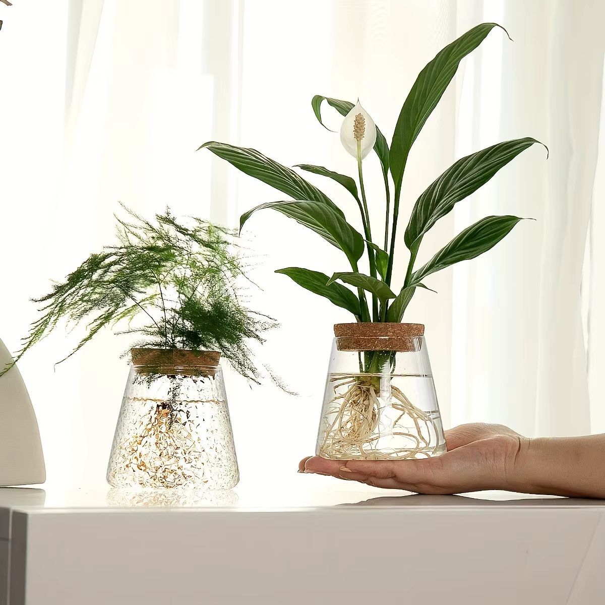 Station de propagation avec vases en verre – Support pour plantes de table pour coupures hydroponiques