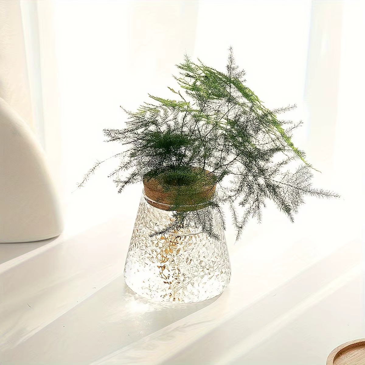 Station de propagation avec vases en verre – Support pour plantes de table pour coupures hydroponiques