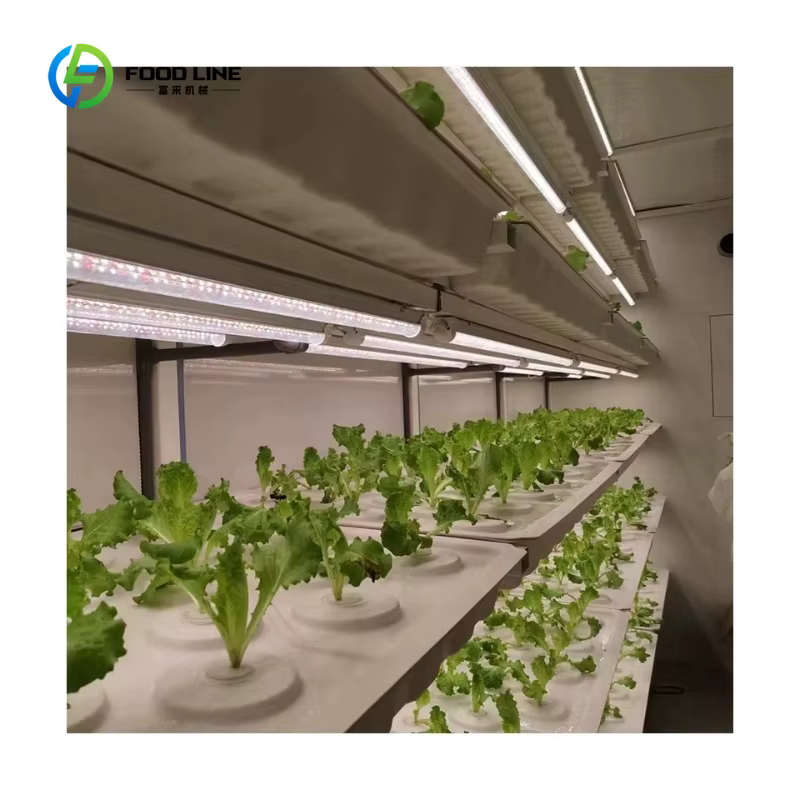 Conteneurs de micro-légumes personnalisés en gros pour fermes verticales, systèmes de culture en conteneurs