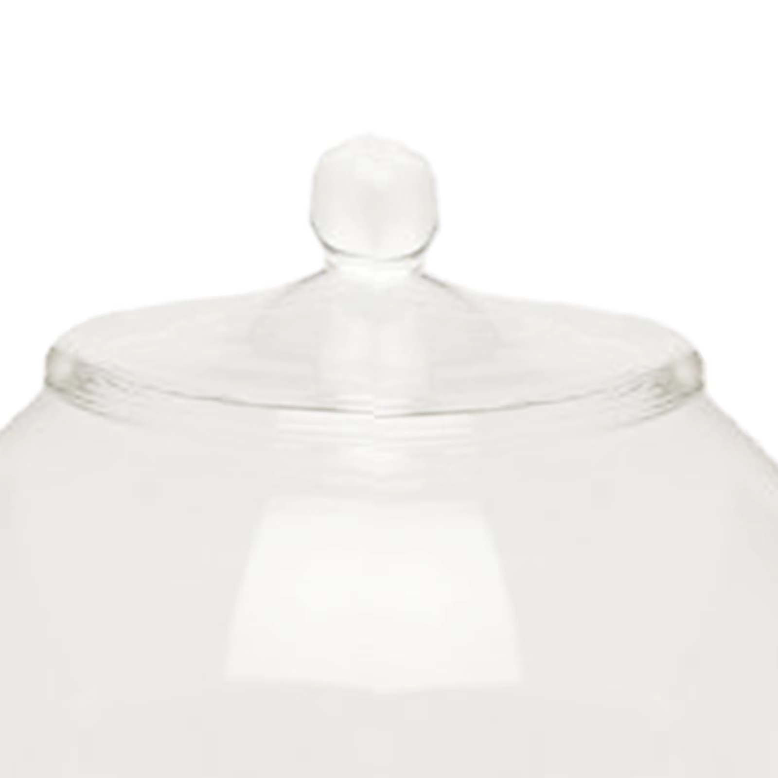 Pot de terrarium en verre scellé