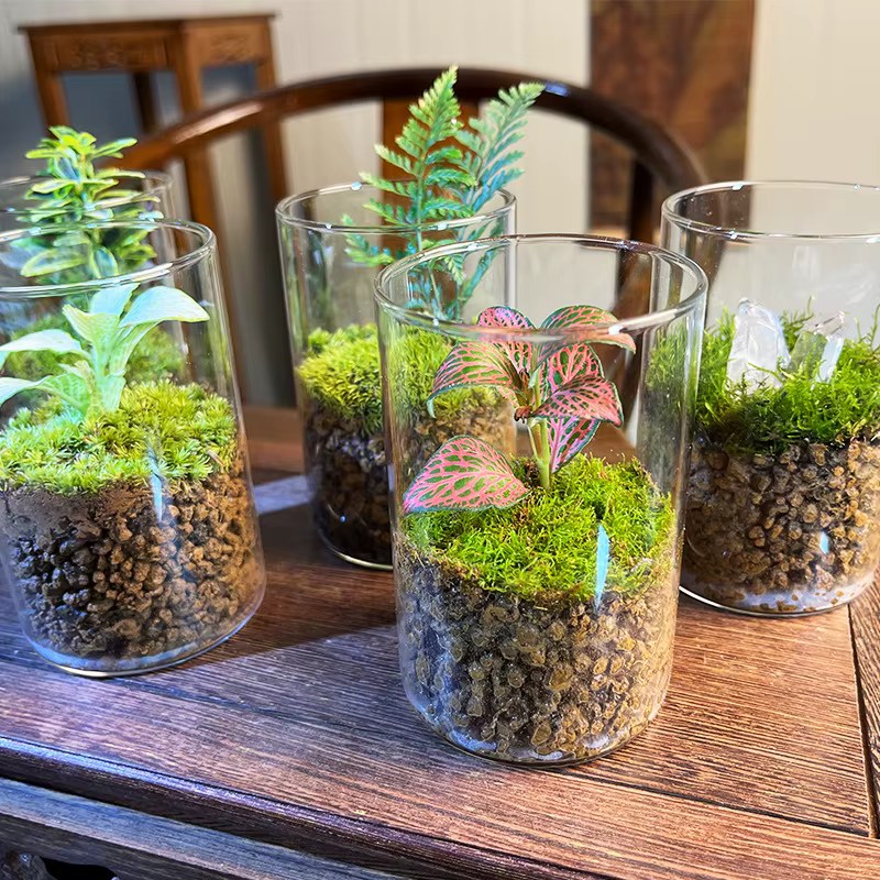 Vases cylindriques en verre