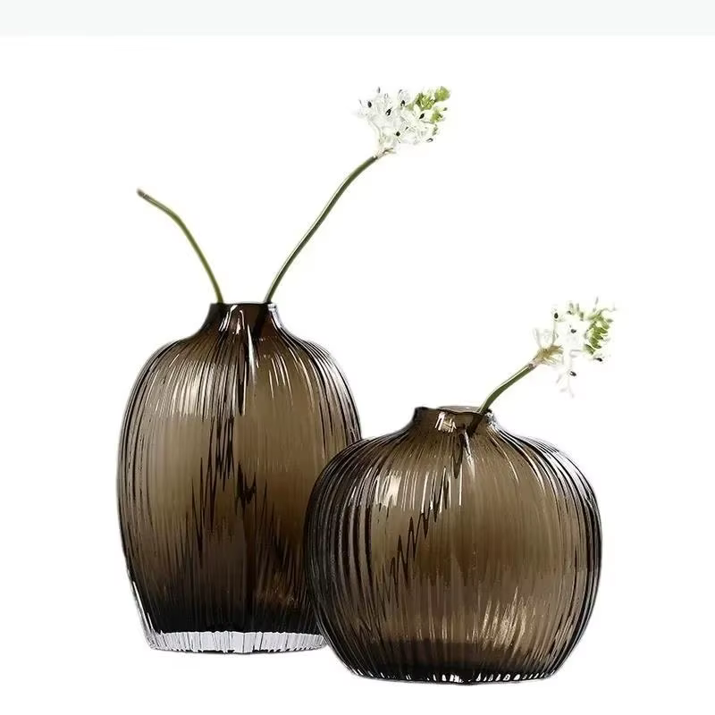 Vase en verre hydroponique transparent