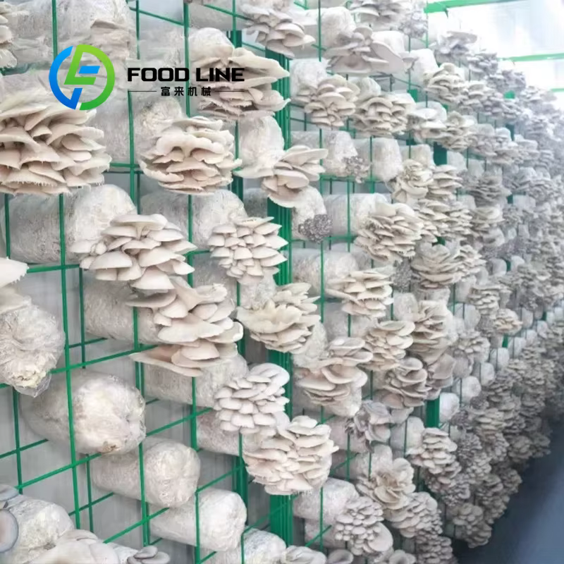 Conteneur d'expédition industriel moderne pour la culture de champignons, équipement de culture de champignons, salle intelligente et automatique pour la culture de champignons en conteneur